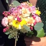 Janet Connelly - @janetconnelly1944 - Instagram