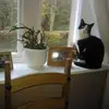 Janet Connelly Robinson - @janet.connelly.ro0 - TikTok