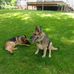 Janet Conover - Facebook