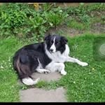 Janet Cooke - @paulandjanetcooke - Instagram