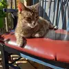 Janet Cooke - @janet.cooke - TikTok