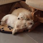 Janet Cooke-nee Quinn - @cookeneequinn - Instagram