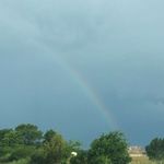Janet Coombs - @janet_coombs - Instagram