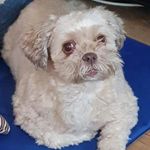Janet Elizabeth Coombs - @janetcoombs1 - Instagram