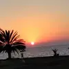 janetcoombs4766 - @janetcoombs4766 - TikTok