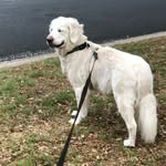 Janet Cornett - @janetcornettgummerman - Instagram