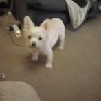 Janet Cornish - Facebook