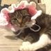 Janet Corrigan - Facebook