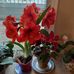 Janet Corrigan - Facebook