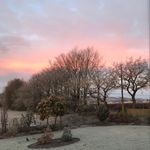 Janet Corrigan - @corrigan1699 - Instagram