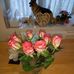 Janet Corrigan - Facebook