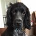 Janet Coster - Facebook