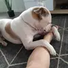 Janet Cotter - @janet.cotter2 - TikTok