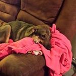 Janet Cotter Boyd - @cotterboyd - Instagram