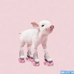 Janet Cotterill - @janet.cotterill.1 - Instagram