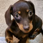 Janet Courson - @courson_janet - Instagram