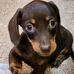 Janet Courson - Facebook