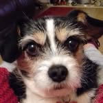 Janet Creedon - @janetcreedon_ - Instagram