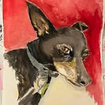 Janelle Cromwell shaughnessy - @janellevcs - Instagram