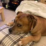 Janet Crossley - @j.crossley2016 - Instagram