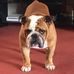 Janet Cullum - Facebook