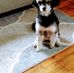 Janet Cullum - Facebook