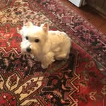 Jane Culpepper - @jane.culpepper - Instagram