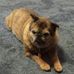 Janet Cundiff - Facebook