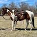 Janet Custer - Facebook