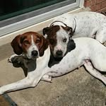 Janet Dangelo - @luigi_spumoni_rigatoni - Instagram