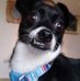 Janet Dankert - Facebook