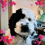Janet Danner - @crewchiefj - Instagram