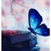 Jan Daoust - Facebook