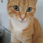Janet - @janet.darcy42020 - Instagram