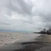 janetdassinger46 - @janetdassinger46 - TikTok