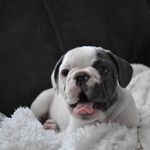 Janet Davidson - @janet.davidson2 - Instagram