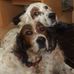 Janet Davison - Facebook