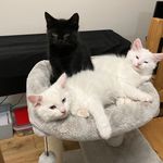 Janet Davison - @janetdavison022 - Instagram