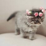 Janet Davison - @janet.davison.71 - Instagram