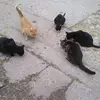 Janet Deacon - @janet.deacon2 - TikTok