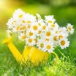 Janet Deane Boone - @jbjanetboone44 - Instagram