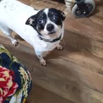 Jane DeAngelo - @janiem.728 - Instagram