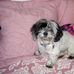 Janet DeCarlo - Facebook
