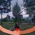 Janet Delearna Saraga - Facebook