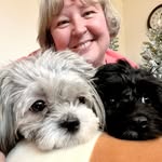 Jane Sobota Deming - @janedeming - Instagram