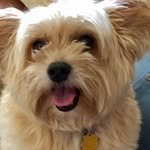 Janet Denning Hertzog - @denninghertzog - Instagram