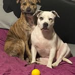 Janette Denning - Facebook