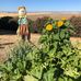 Janet Denny - Facebook