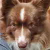 Jane Deters - @jane.deters - TikTok