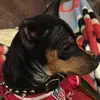 Jane Devine - @jane.devine0 - TikTok